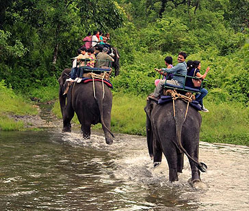 Eco Tour with Flora and Fauna